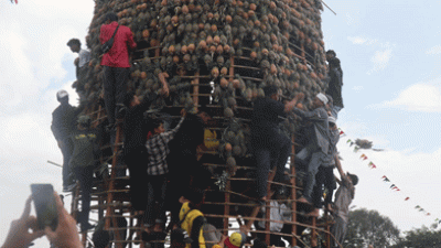 Pj Bupati Batola Canangkan Festival Nanas Mekarsari Even Kalender Tahunan Pariwisata