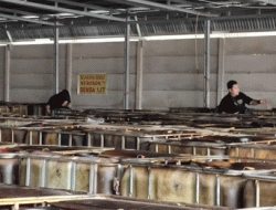 Gudang Penyimpanan Minyak Ilegal di Desa Tanjung Pring Digrebek Polda Sumsel