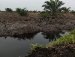 Memohon Perlindungan, Suku Anak Dalam Musi Banyuasin Surati Presiden RI
