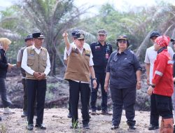 Pj Gubernur Sumsel bersama Menteri LHK Tinjau Lokasi Karhutla di Desa Jungkal OKI