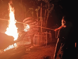 Beri Efek Jera, Arena Judi Sabung Ayam di Dampit, Kabupaten Malang Dibakar