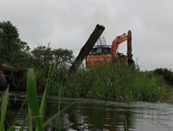 Merasa Mendapat Angin Segar Dari Balai Gakum, PT HBL Semakin Berani Merambah Hutan Kawasan Lahan Gambut