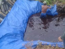 Pengerjaan Sekat Kanal Tahun 2018 Tidak Telihat Ada Lagi Bentuk Fisiknya dan Tahun 2022 Banyak yang Rusak