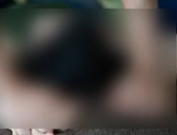 Terancam Hukuman 20 Tahun Penjara, Kakek Bejat Cabuli Cucu Sendiri, Polman, Sulbar