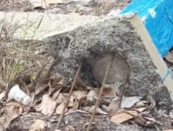 Kuantitas Proyek Pembangunan Sekat Kanal di Muara Medak Diduga Tidak Sesuai RAB Proyek