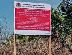 PPNS KLHK Sibuk Memasang Plang Larangan Perambahan Hutan Kawasan