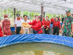 Ketua TP PKK Kab. Badung Seniasih Giri Prasta Dukung Gerakan Ketahanan Pangan di Sibanggede