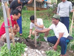 Seribu Tabebuya Hijaukan Jalan Labuan Sait