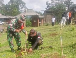 Aksi Tanam Seribu Pohon di Gunung Lio Salem, Brebes
