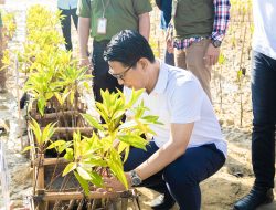 Sekda Adi Arnawa Hadiri Penanaman 10.000 Mangrove di Kawasan Tahura Tanjung Benoa