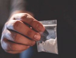 Terbukti Miliki Sabu, Warga Asal Pinrang Diringkus Tim Ditnarkoba Polda Sulbar