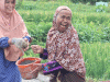 Nenek Saebah Tetap Semangat Berperan Aktif Dalam TMMD Desa Buniwah, Brebes