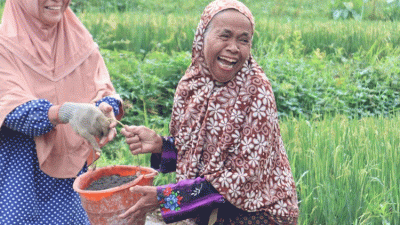Nenek Saebah Tetap Semangat Berperan Aktif Dalam TMMD Desa Buniwah, Brebes
