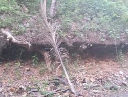 Temukan Potensi Longsor di BLK Kabupaten Selayar, Sekda Mesdiyono Kirimkan Tim ke Lokasi