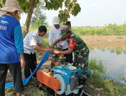 Komitmen Babinsa Kodim 0812 Lamongan dalam Pendampingan Program Pompanisasi Demi Kesejahteraan Petani
