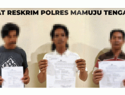 Polres Mamuju Tengah Tahan Tiga Tersangka Kasus Pencurian Sawit PT WKSM