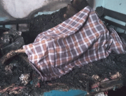 Kebakaran Rumah Tewaskan Seorang Perempuan di Kota Benteng, Kabupaten Selayar