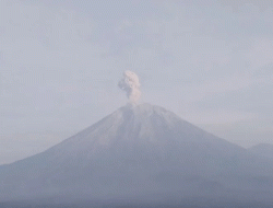 Gunung Semeru Erupsi Enam Kali Disertai Lontaran Abu Vulkanik, Masyarakat Diminta Waspada