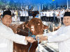 Momen Idul Adha 1445 H, Dishub Provinsi Jatim Salurkan 17 Ekor Sapi dan 12 Ekor Kambing