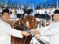 Momen Idul Adha 1445 H, Dishub Provinsi Jatim Salurkan 17 Ekor Sapi dan 12 Ekor Kambing