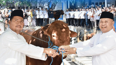 Momen Idul Adha 1445 H, Dishub Provinsi Jatim Salurkan 17 Ekor Sapi dan 12 Ekor Kambing