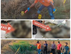Penemuan Mayat Terbakar di Socah, Kab. Bangkalan, Identitas Korban Masih Diselidiki