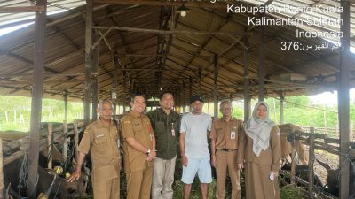 Disbunak Batola Periksa Hewan Ternak Kurban Hingga Daging Layak Konsumsi