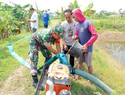 Jalin Komunikasi dengan Warga Binaan, Sarana Babinsa Jajaran Kodim 0812 Lamongan dalam Bekerja