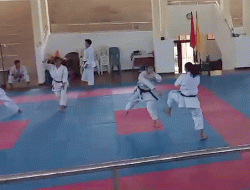 Shokaido Jatim Siapkan Karateka Terbaik Hadapi Kejurprov FORKI 2024 di Kota Malang