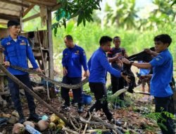 Ular Sepanjang Empat Meter Diamankan Lagi Posko Damkar dan Penyelamatan Kecamatan Bontomatene, Selayar
