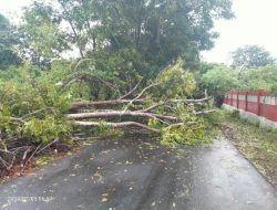 Cuaca Ekstrem Melanda Kab. Selayar Picu Tumbangnya Tiang Lampu Jalan dan Pepohonan