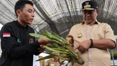 Pj Gubernur Sulbar bersama Komunitas Anggrek di Mamasa Dorong Pemda Produksi Angrek Skala Industri