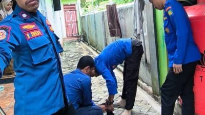 Masuk ke Rumah Warga, Damkarmat Selayar Sigap Amankan Biawak