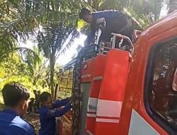 Digigit Ular Saat Evakuasi, Personel Damkarmat Bontomate’ne Dilarikan ke IGD