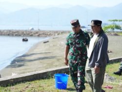 Jaga Ekosistem Laut, Pemprov Sulbar – TNI AL Lakukan Penanaman Pohon dan Buat Terumbu Karang Buatan