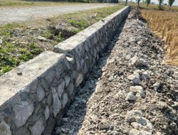 Pemdes Mojo, Ngawi, Membangun Talud, Cegah Longsor dan Mudahkan Akses Panen Petani