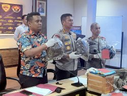 Kapolresta: Tidak Ada Toleransi, Satuan Narkoba Polresta Kembali Berhasil Ungkap Kasus Ganja Sebanyak 2,5 Kg