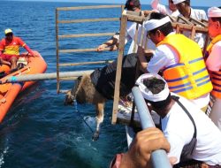 Sekda Badung Adi Arnawa Mulang Pakelem, Dimulainya Penanganan Keretakan Tebing Pura Uluwatu