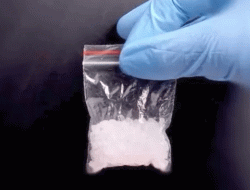 Polda Sumut Ringkus Dua Lelaki Terduga Pengedar Narkoba, Diamankan Sabu-sabu Seberat 4,8 Kg