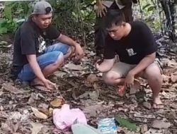 Geger Mayat Bayi di Mamuju Ditemukan Terbungkus Kain Plastik di Kebun Warga