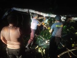 Quick Respon Polsek Muara Tami Bersihkan Pohon Tumbang