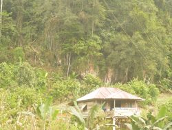 Gua Belanda di Paiyyang Kec. Bonehau “Masih Perawan,” Butuh Pelestarian