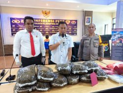 Pengembangan Kasus 9,6 Kg Ganja, Dir Narkoba Polda Papua: BK Ditetapkan Tersangka, Anak Mantunya Jadi DPO