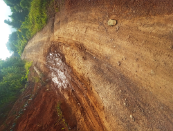 Delapan Puluh Persen Masyarakat Desa Salutio, Mamuju, Sulbar, Lega Nikmati Jalan Tani