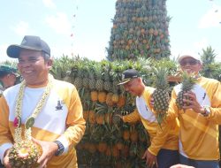 Pj Bupati Dinansyah: Festival Nanas Mekarsari, Batola Siap Sokong IKN Melalui Pertanian