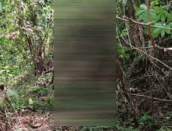 Lima Hari Hilang Ditemukan Tewas, Tersangka Korupsi Tol Padang Pekanbaru