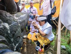 Bupati Badung Giri Prasta Mendem Pedagingan di Padmasana Pura Puseh Buangga, Desa Adat Getasan, Petang