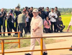 Kapolda Papua Dampingi Kunker Presiden Prabowo di Kabupaten Merauke