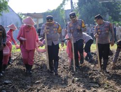 Kapolres Madiun Dukung Program ASTA CITA Presiden Prabowo dengan Penanaman Jagung