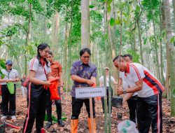 Merawat Bumi Lindungi Sumber Air, Giri Prasta Tanam 1000 Pohon Pala Di Alas Pala Sangeh